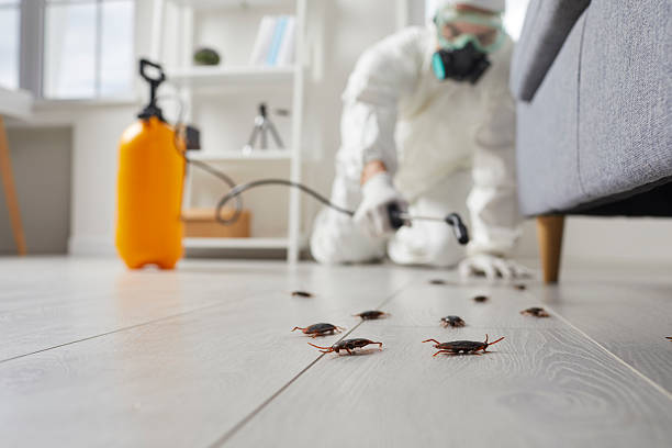 Commercial Kitchen Cockroach Control in Pine Beach